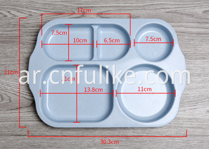 Divided Plate